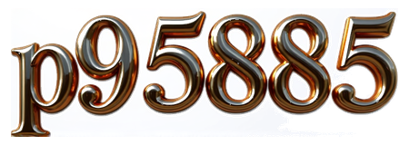 p95985 logo